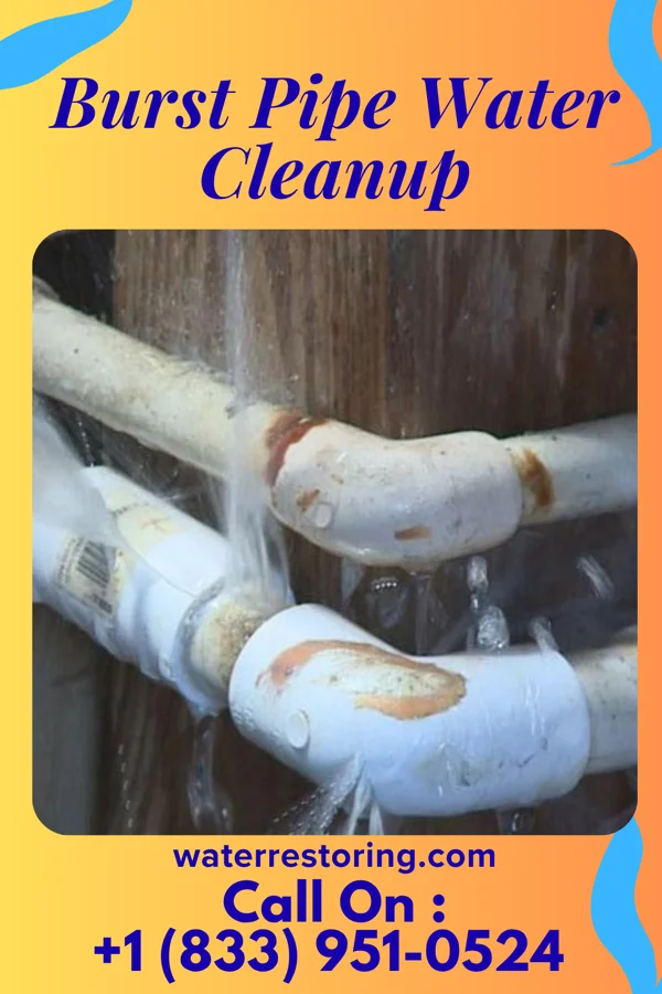 Burst Pipe Water Cleanup in Washington Heights, NY