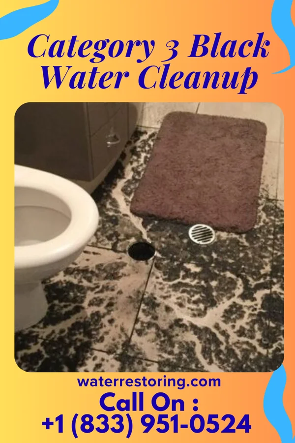 Category 3 Black Water Cleanup in Washington Heights, NY