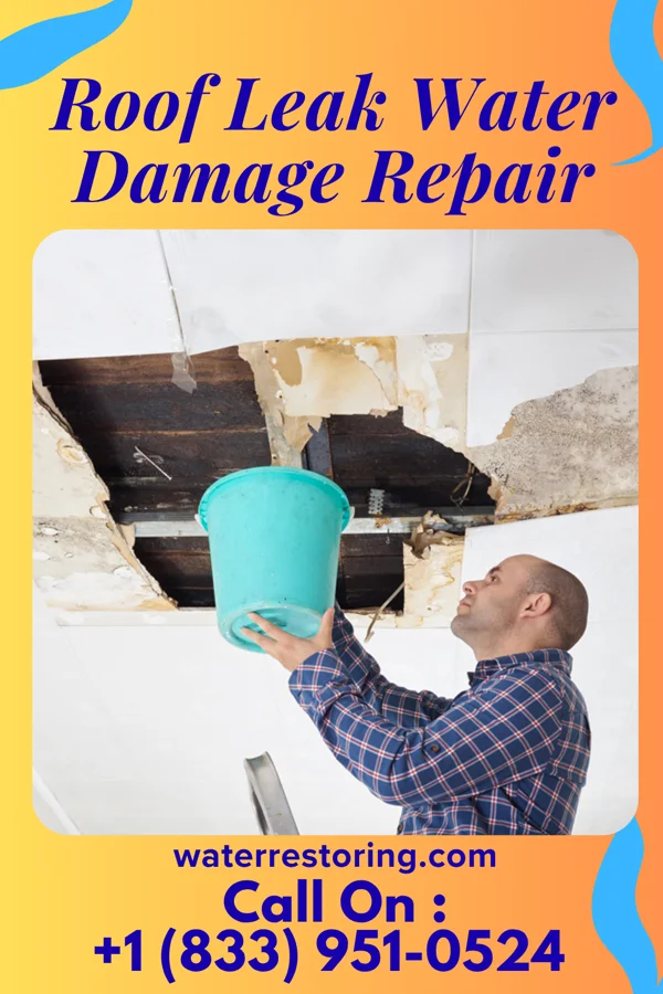 Roof Leak Water Damage Repair in Washington Heights, NY