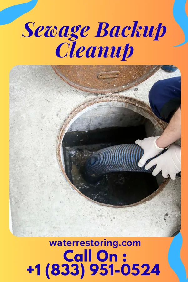 Sewage Backup Cleanup in Washington Heights, NY