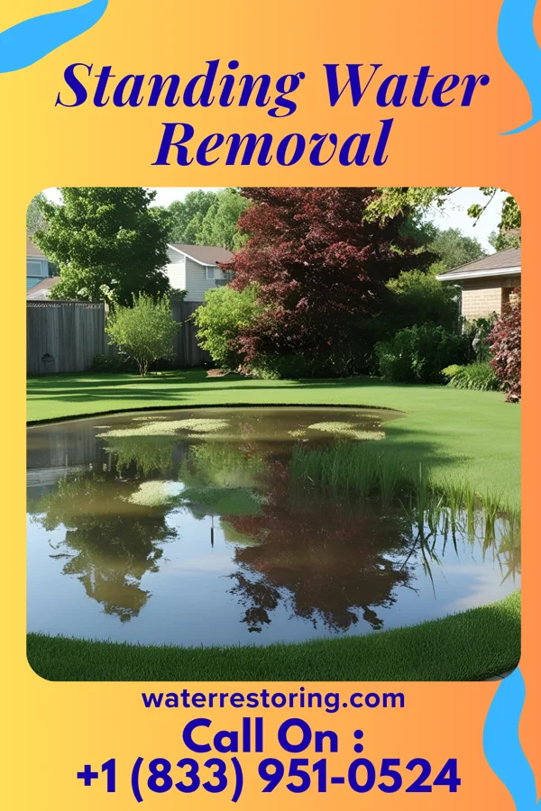 Standing Water Removal in Washington Heights, NY